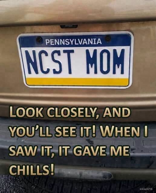 The Clever License Plate That Has Everyone Talking: A Gentle Look at Hidden Messages and Human Creativity (And Why We…